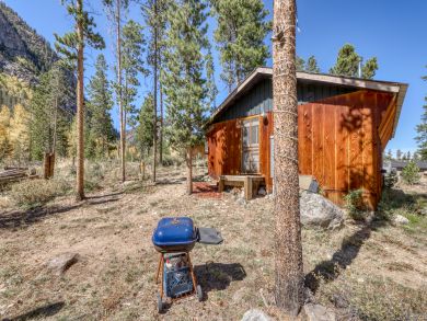 Breckenridge Condo 937887