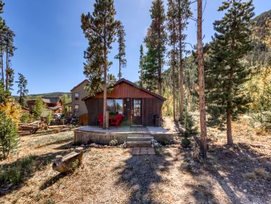 Breckenridge Condo 937887