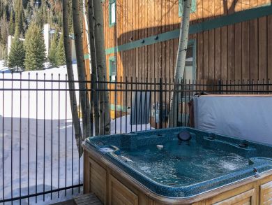 Vail Lionshead Condo 937892