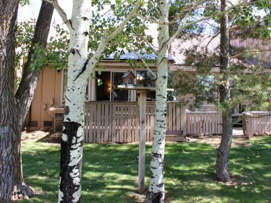 Breckenridge Condo 937894
