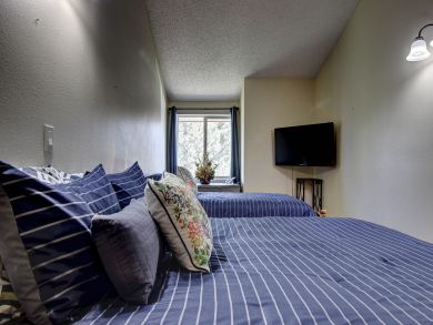 Breckenridge Condo 937894