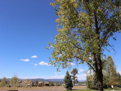 Breckenridge Condo 937894