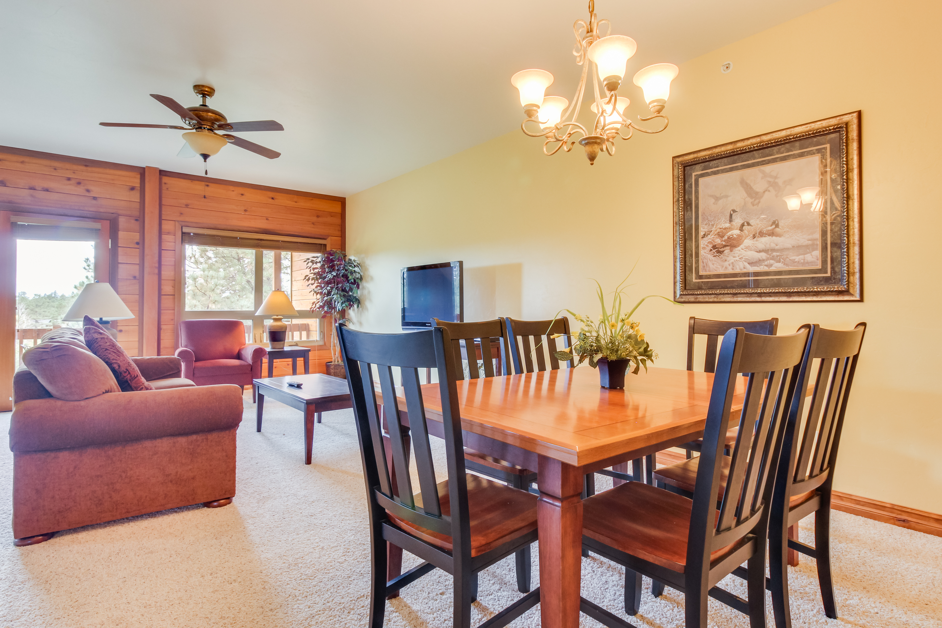 Telluride Condo 937902