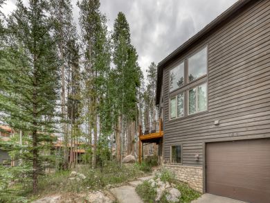 Winter Park Home 937910
