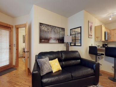 Breckenridge Condo 937915