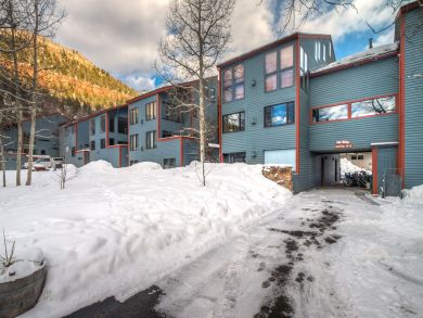 Telluride Condo 937918