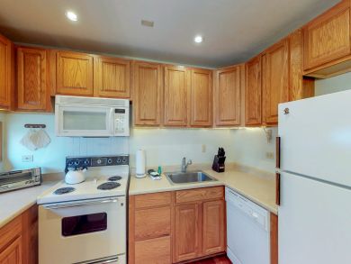 Telluride Condo 937918