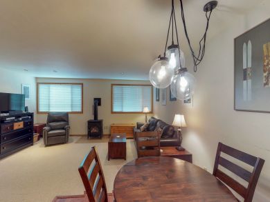 Telluride Condo 937918
