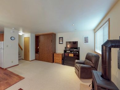 Telluride Condo 937918