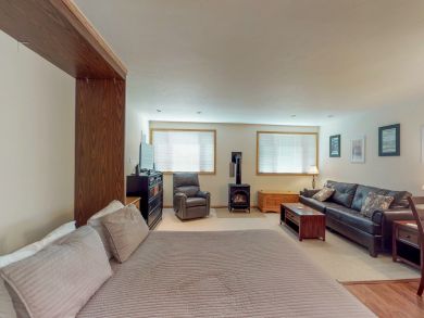 Telluride Condo 937918
