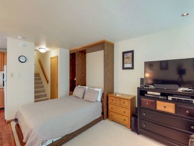 Telluride Condo 937918