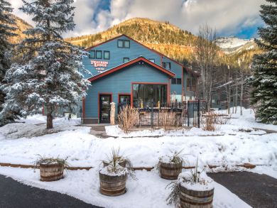 Telluride Condo 937918