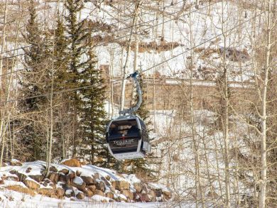 Telluride Condo 937918