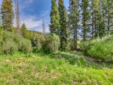 Breckenridge Home 937919