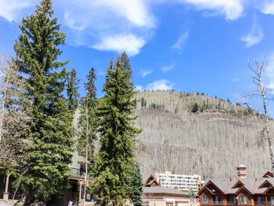 Breckenridge Condo 937940
