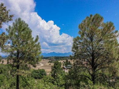 Breckenridge Home 937941