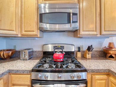 Snowmass Condo 937950