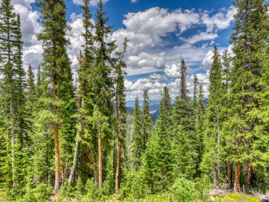 Breckenridge Home 937959