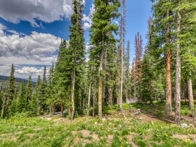 Breckenridge Home 937959