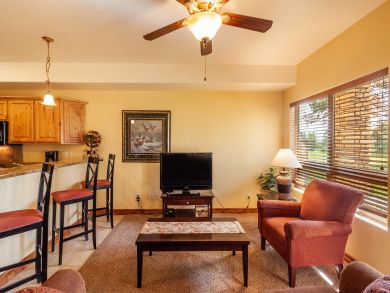 Telluride Condo 937961