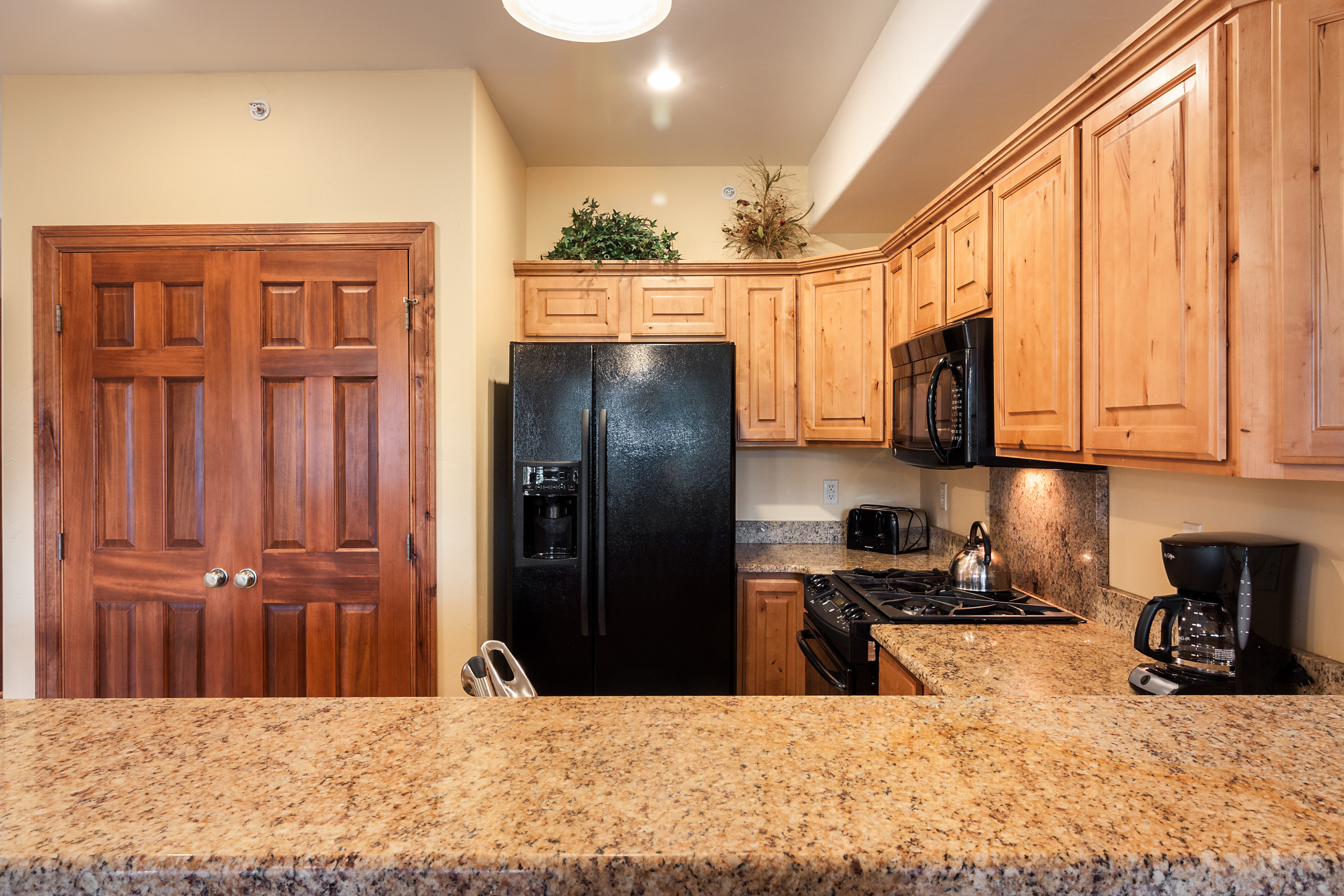 Telluride Condo 937961
