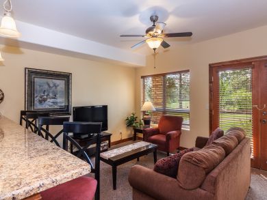Telluride Condo 937961