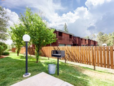 Telluride Condo 937961