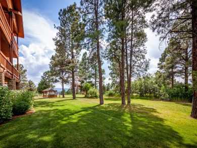 Telluride Condo 937961