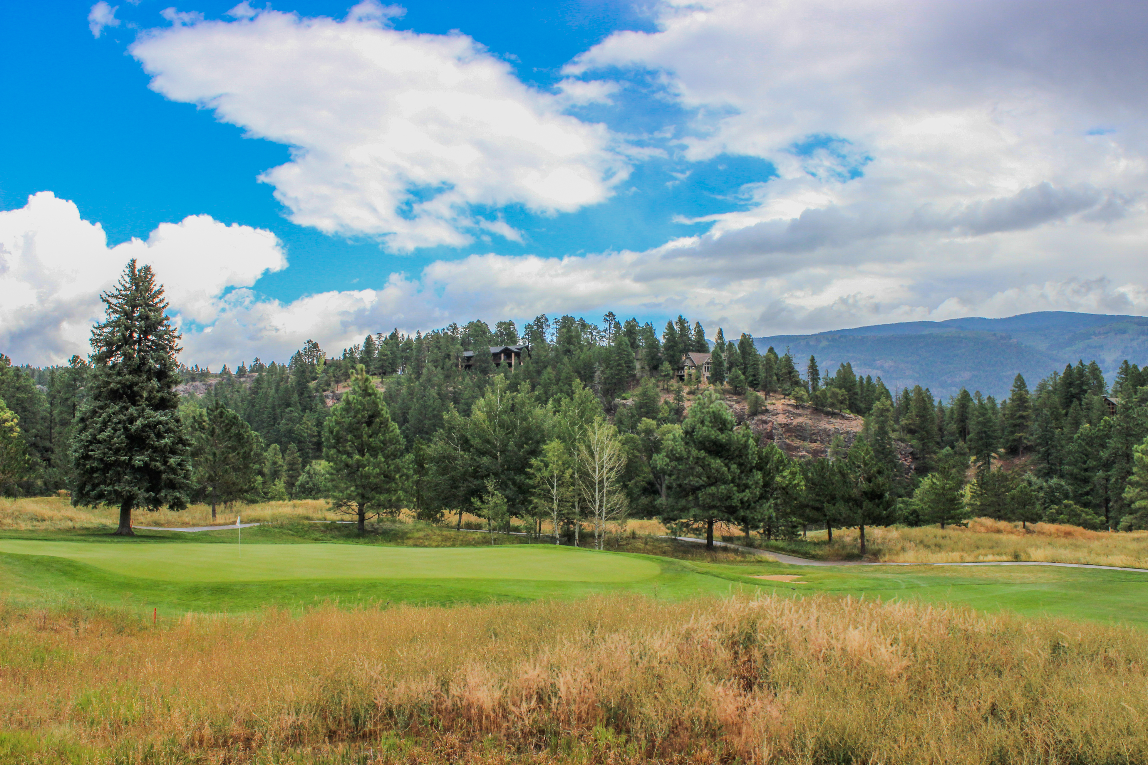 Breckenridge Condo 937971