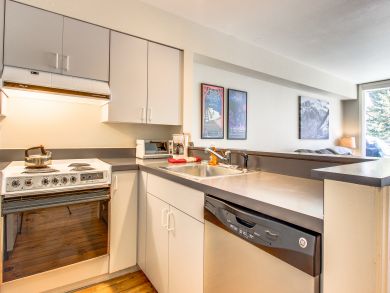 Telluride Condo 937980