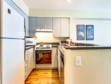 Telluride Condo 937980