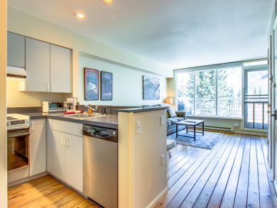 Telluride Condo 937980