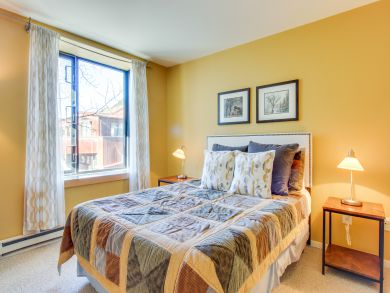 Telluride Condo 937980
