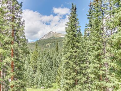 Breckenridge Home 937986