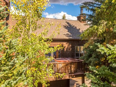 Breckenridge Condo 937989