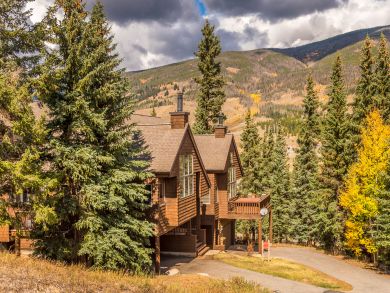 Breckenridge Condo 937989