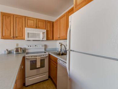 Breckenridge Condo 937993