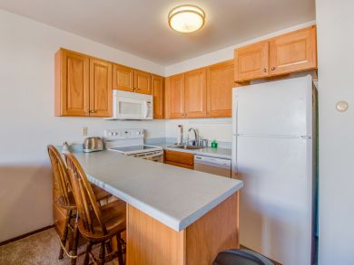Breckenridge Condo 937993