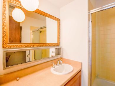 Breckenridge Condo 937993