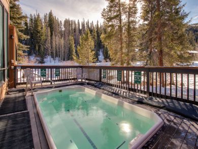 Breckenridge Condo 937999