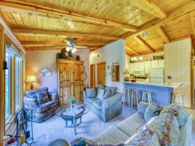 Breckenridge Condo 937999