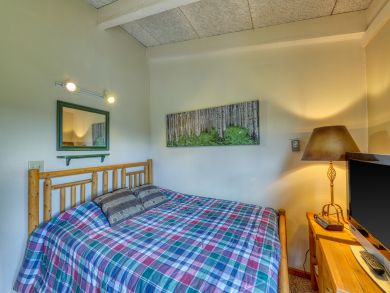 Breckenridge Condo 937999