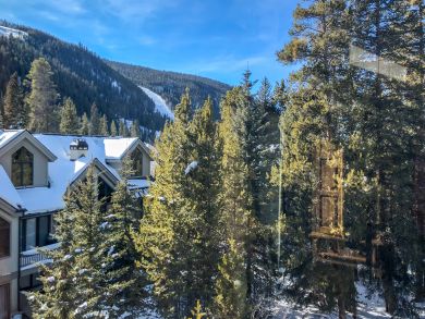 Breckenridge Condo 937999