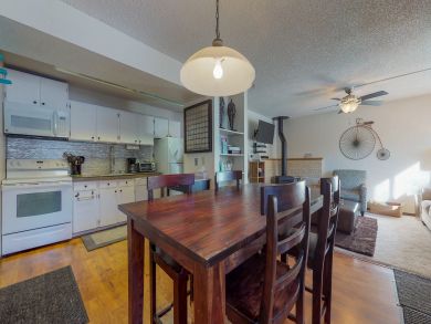 Steamboat Springs Condo 938002