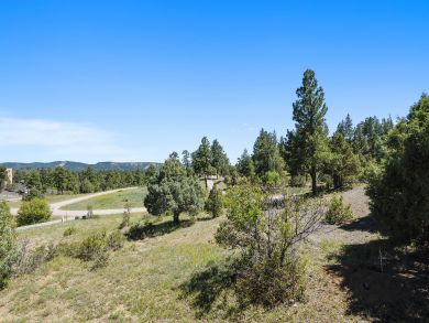 Breckenridge Home 938004