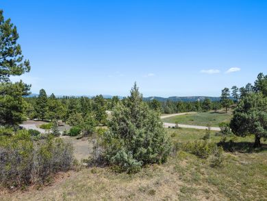 Breckenridge Home 938004