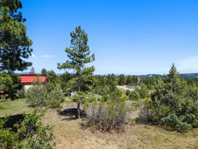 Breckenridge Home 938004