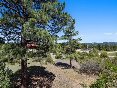Breckenridge Home 938004