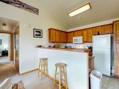 Steamboat Springs Condo 938006