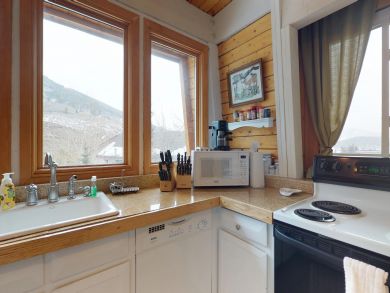 Breckenridge Condo 938017